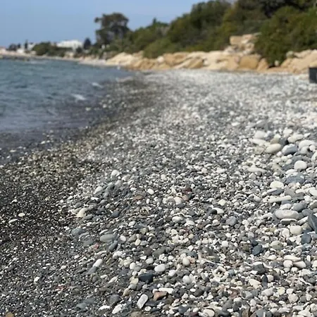 Seaside * זיגי